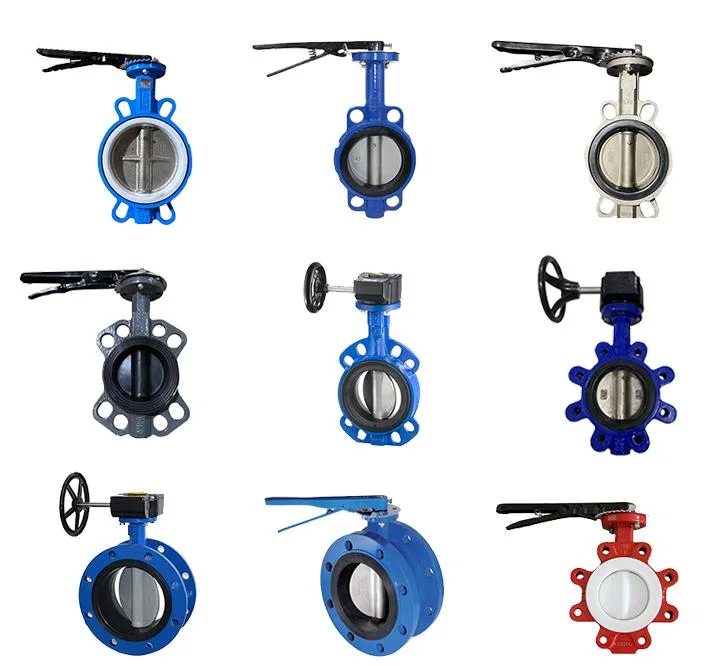 API 609 Pn1.6 Ductile Iron Centre Sealing Worm Gear Wafer Butterfly Valve